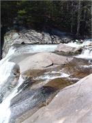Tellico 7